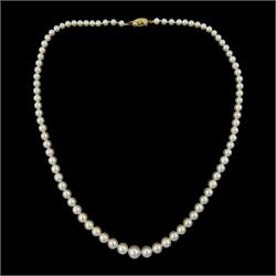 Single strand cultured white / pink pearl necklace, with 18ct gold diamond set clasp by Ma...