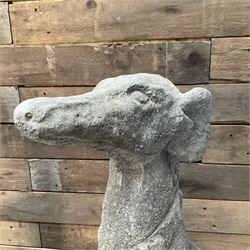 Pair of cast stone French lurchers, seated pose, on shaped plinth