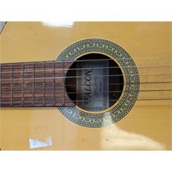 Falcon G3N acoustic guitar and a Clifton Sopran ukulele