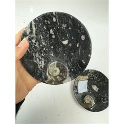 Pair of circular dishes with a raised goniatite and orthoceras and goniatite inclusions, age: Devonian period, location: Morocco, D11cm