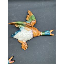 Set of three Beswick wall mounted graduated Flying Ducks, nos 596-2, 596-3, and 596-4