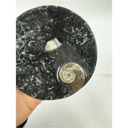 Pair of circular dishes with a raised goniatite and orthoceras and goniatite inclusions, age: Devonian period, location: Morocco, D11cm