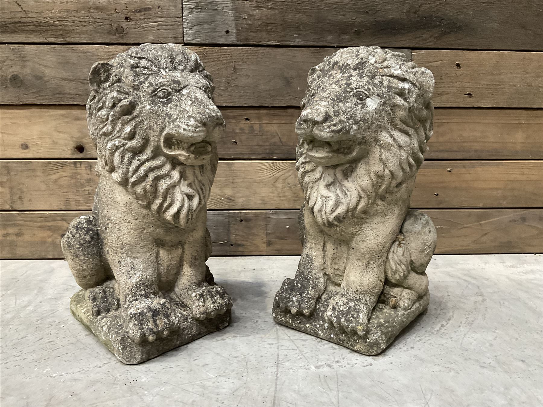 Pair of small weathered cast stone garden seated lions