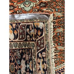 North West Persian Bidjar rug, orange peach ground extended field on indigo ground, decorated with floral Herati motifs, repeating waved border decorated with stylised plant motifs