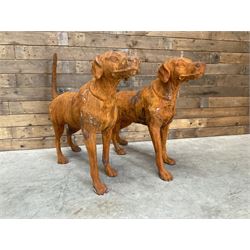 Pair of life-size heavy cast iron garden Hunting dogs