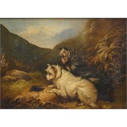 George Armfield (British 1808-1893): Two Terriers on a Hilltop, oil on canvas signed and indistinctly dated 25cm x 34cm