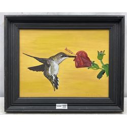 David J Fry (Herefordshire 20th century): Hummingbird, oil on board signed and dated '90, 23cm x 31cm