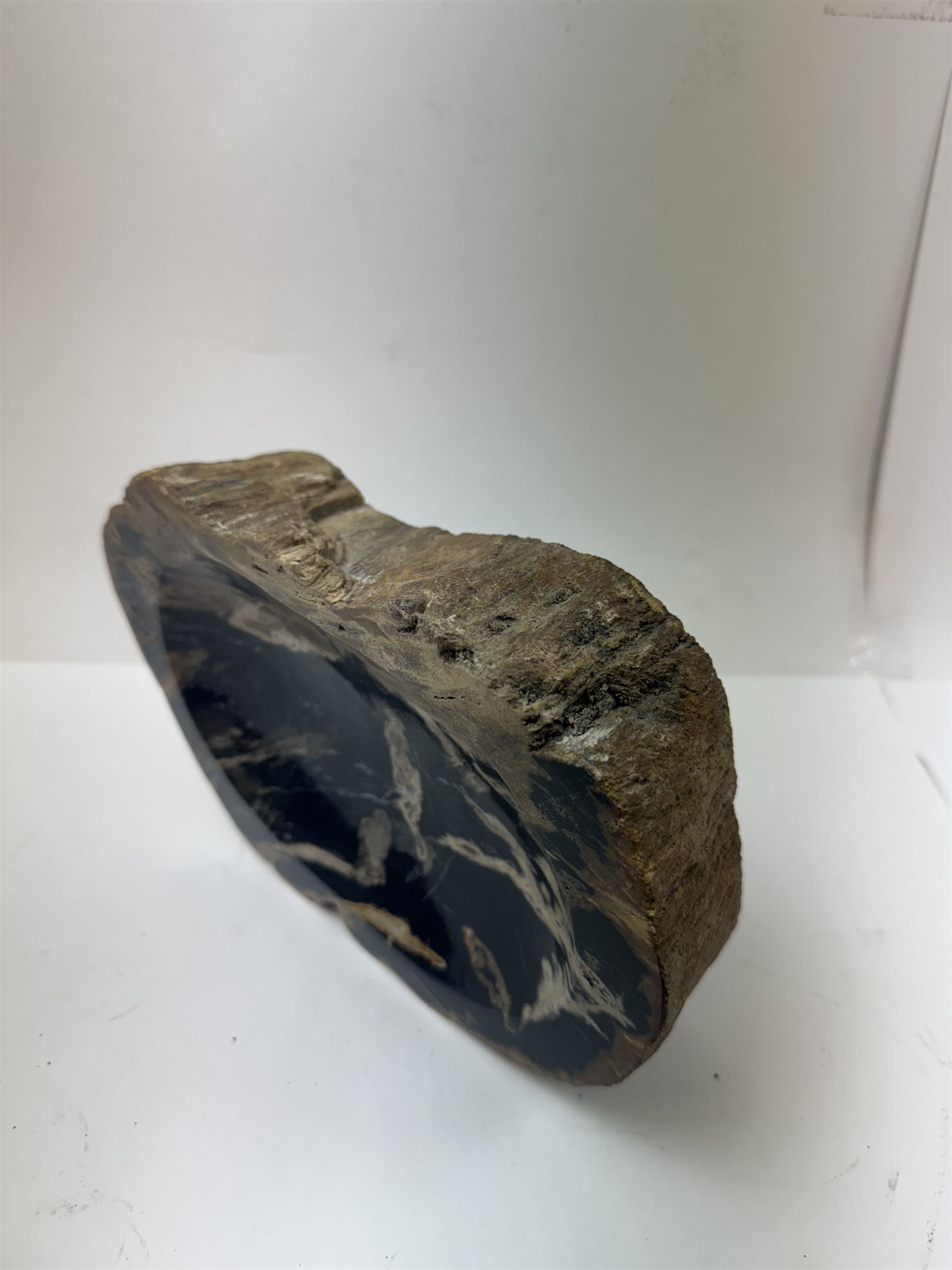 Polished petrified wood dish, some growth rings still visible and a blackened centre, texture to edge, H5cm