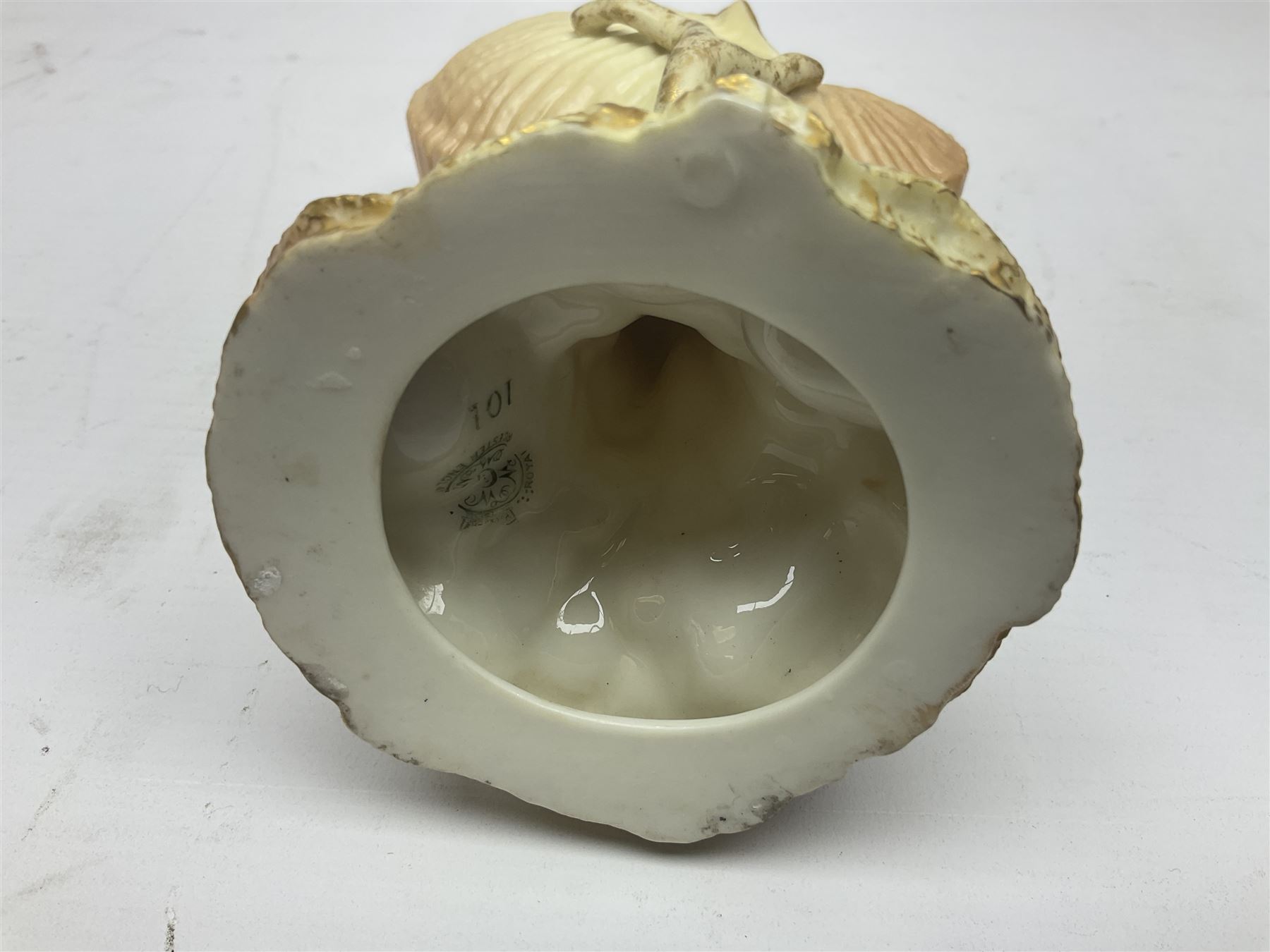 Royal Worcester blush ivory Nautilus shell with coral shape support and decorated with shells to base, mark beneath, H17cm  