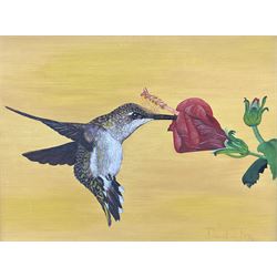 David J Fry (Herefordshire 20th century): Hummingbird, oil on board signed and dated '90, 23cm x 31cm