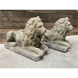 Pair of large cast stone Langport recumbent garden lions, rectangular plinth base