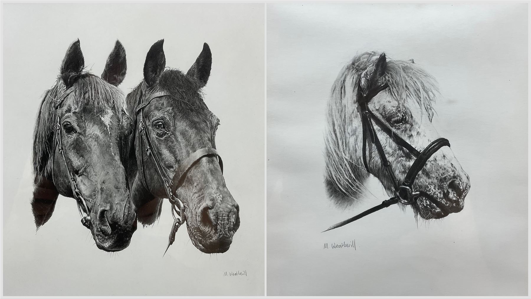 M Weatherill (British Late 20th century): 'Warrior' and other Horses, two pencil drawings signed max 24cm x 22cm (2) 
Notes: 'Warrior' was an ex-police horse, known for predicting the score of Middlesbrough F.C. football matches