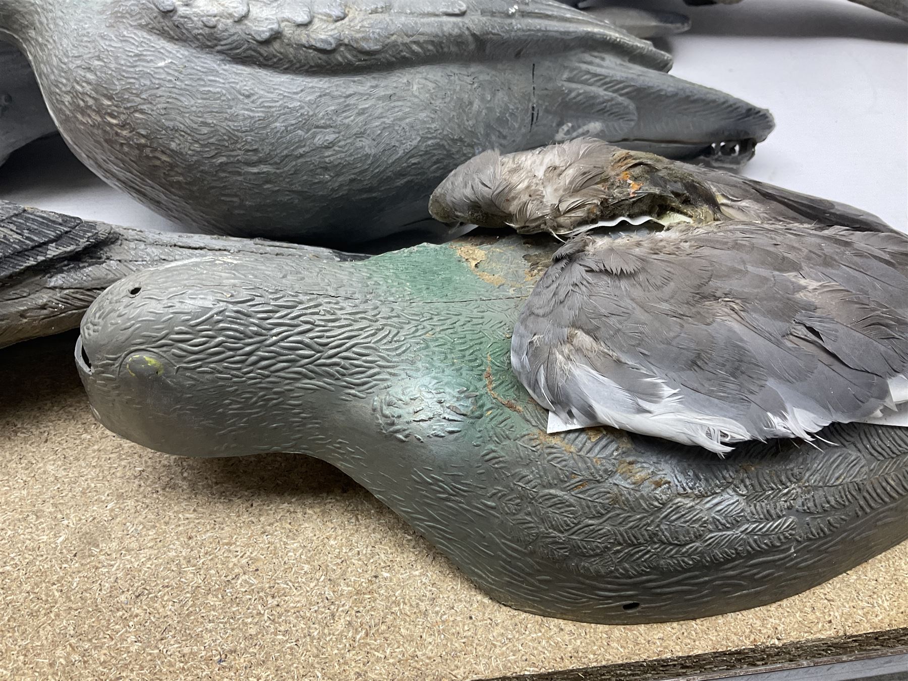 Fourteen Wood Pigeon decoys, together with camouflage netting