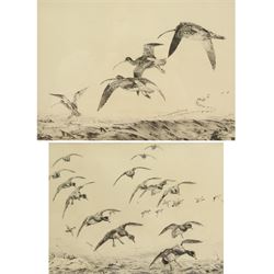 Winifred Marie Louise Austen (British 1876-1964): Snipe and Ducks in Flight, pair etching signed in pencil max 23cm x 31cm (2)