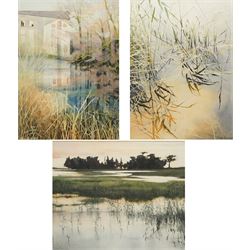 Jane Burgess (British 1948-): 'Reeds, Connemara, Evening' 'Millpond' and 'Reeds, Algairens, Menorca', set of three watercolours signed max 35cm x 26cm (3)