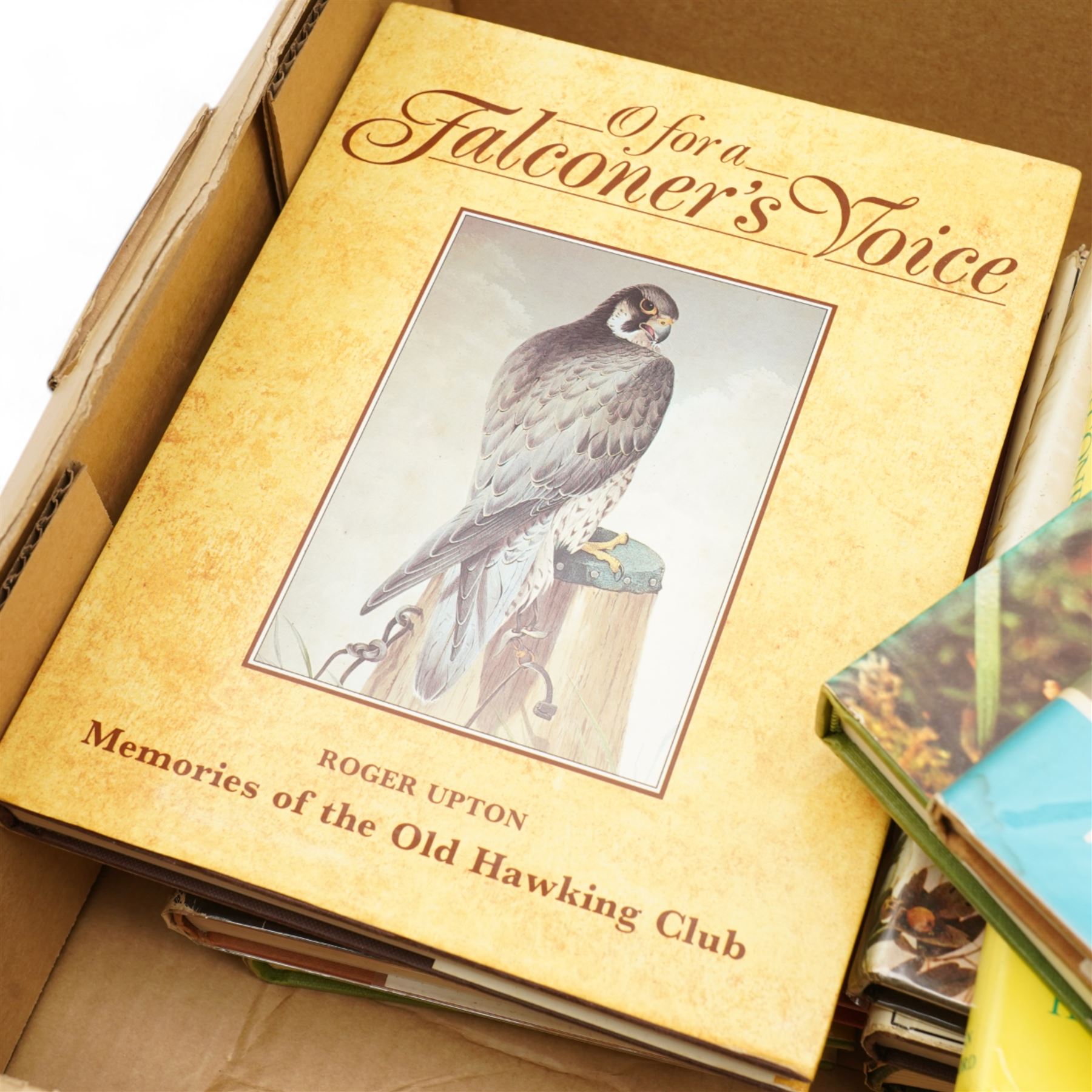 Collection of books relating to falconry and birds of prey, in one box