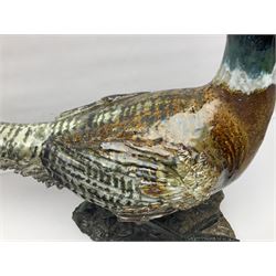 Large stoneware sculpture modeled as a Ring Neck Pheasant, upon a naturalistic base, H55cm, L78cm