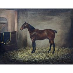 Margaret Wynn (British Early 20th Century): Portrait of Horse 'Bobs' in Stable, oil on canvas signed 31cm x 40cm 