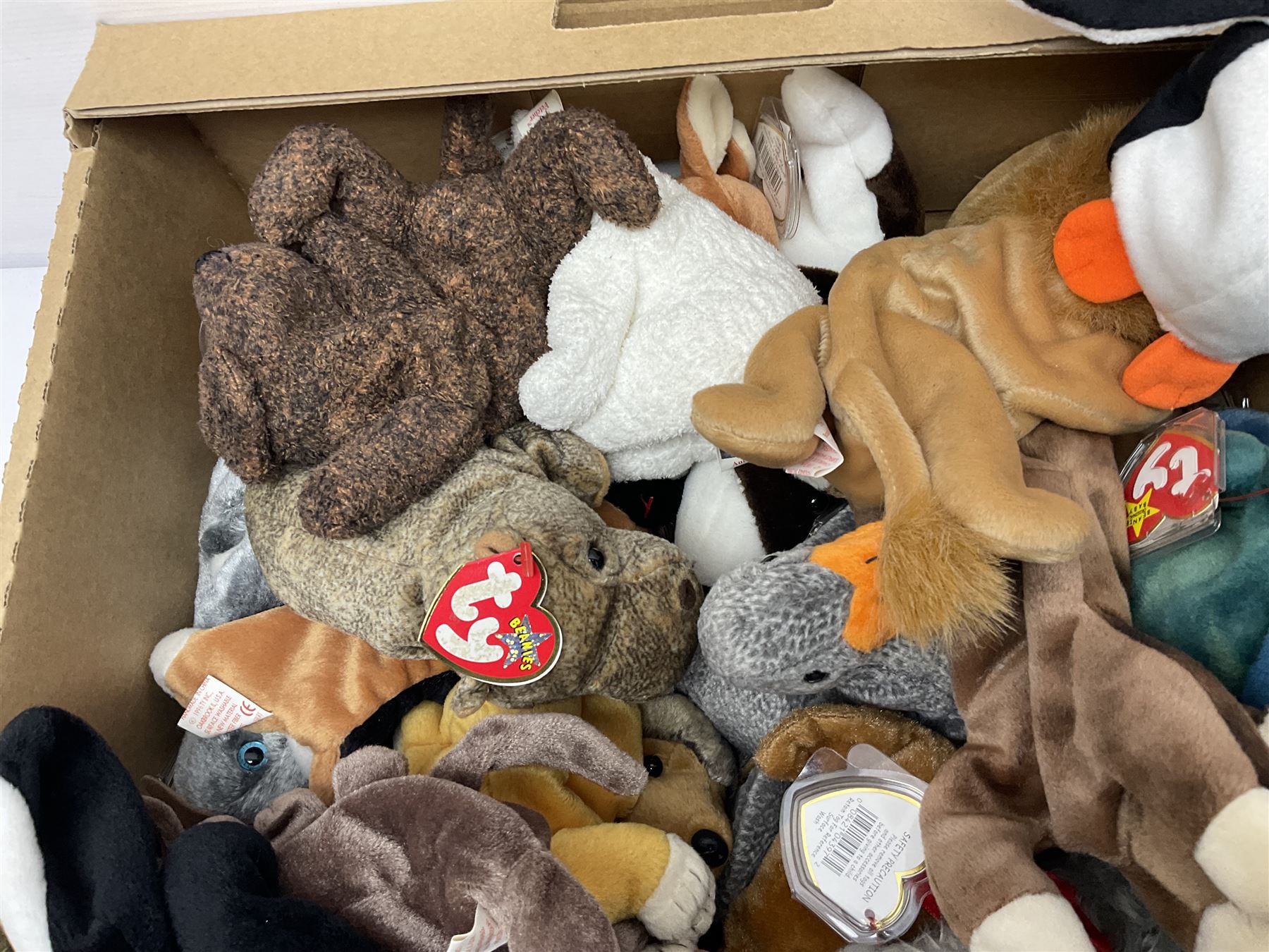 Fifty Ty Beanie babies, including Stinky, Lips, Ants, Zero, Spunky etc