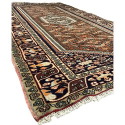 North West Persian Bidjar rug, orange peach ground extended field on indigo ground, decorated with floral Herati motifs, repeating waved border decorated with stylised plant motifs