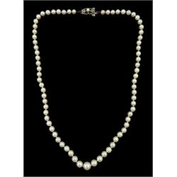 Mikimoto single strand graduating cultured pearl necklace, on original silver clasp, stamped, with guarantee and pouch