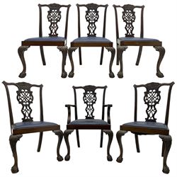 Set of six (5+1) Chippendale design mahogany dining chairs, shaped cresting rail over pierced splat with elaborately carved foliate and scrolling decoration, over drop-in upholstered seats, raised on cabriole supports with scrolled acanthus carved knees and ball and claw carved terminals