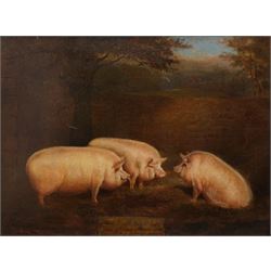 English School (Mid-19th century): Three Prize Pigs, oil on canvas unsigned inscribed 'The...