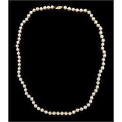 Single strand cultured peach / pink / white pearl necklace, with 14ct gold clasp, stamped