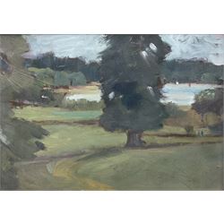 Margaret Micklethwaite (Hull 20th century): 'Hornsea Mere from Wassand Hall', oil on board signed and titled verso 24cm x 34cm