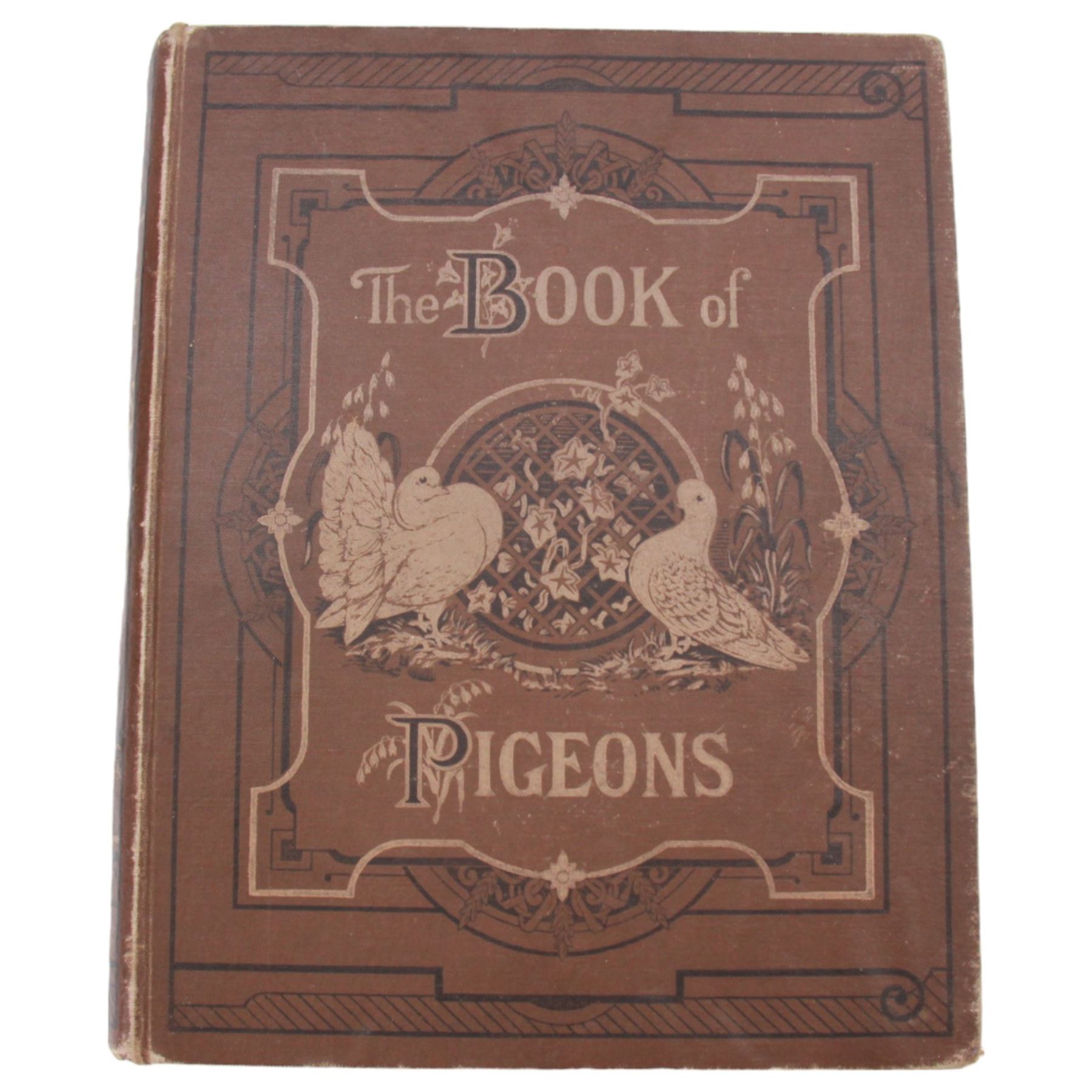 Fulton, Robert, The Illustrated Book of Pigeons with Standards for Judging, edited by Lewis Wright, the coloured plates from paintings by F.W Ludlow, London: Cassell, no date, circa 1880