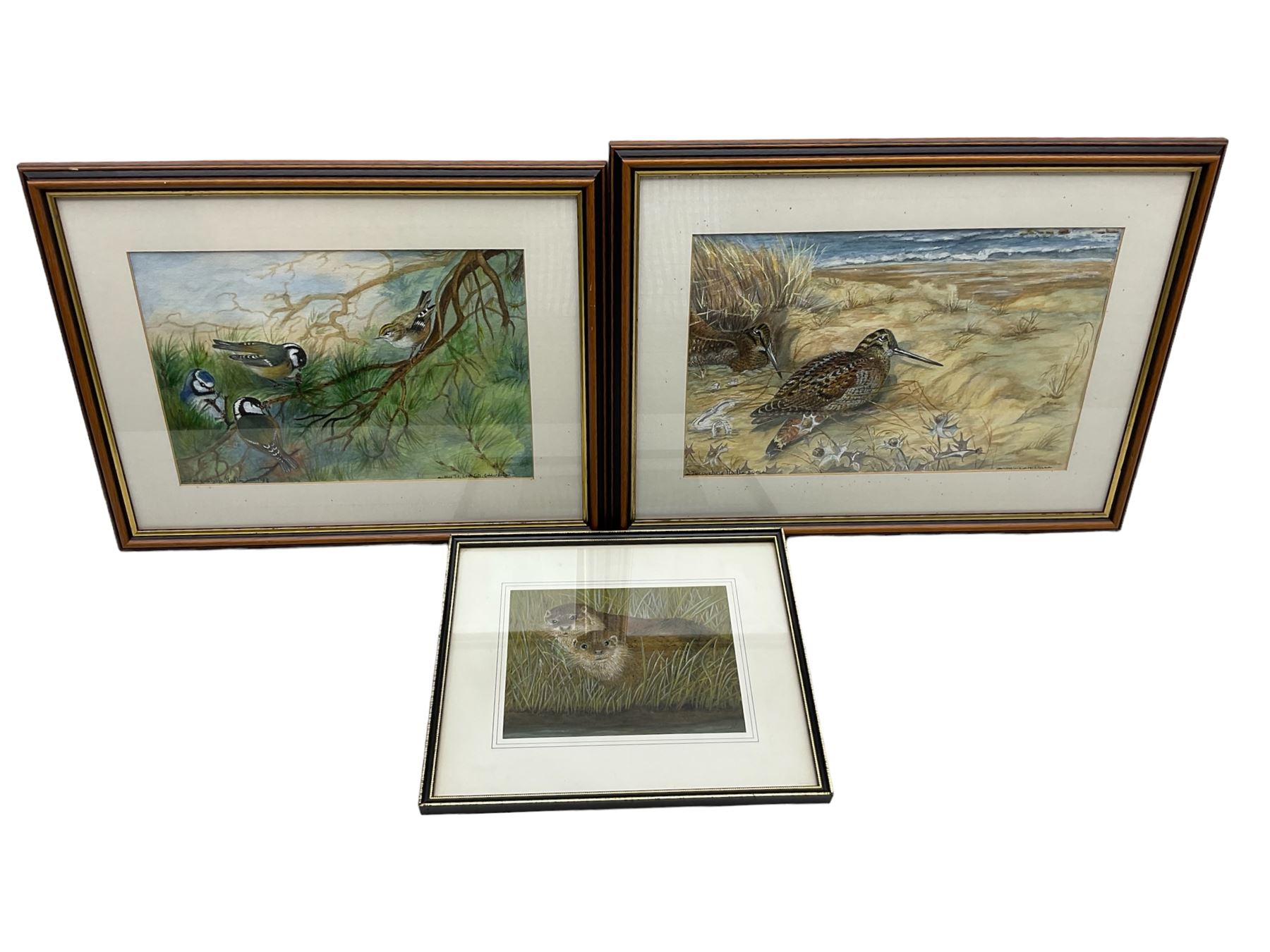 Jacqueline Hall: 'Blue Tit' and 'Woodcock', pair watercolours, and a similar watercolour of otters (3)