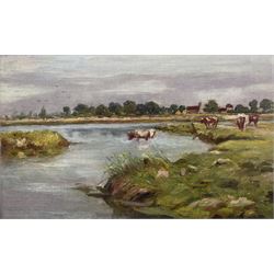 Frederick William Jackson (Staithes Group 1859-1918): Cattle Taking a Drink, oil on canvas laid on board unsigned 19cm x 31cm 
Provenance: exh. Phillips & Sons Cookham, October 1988, label verso