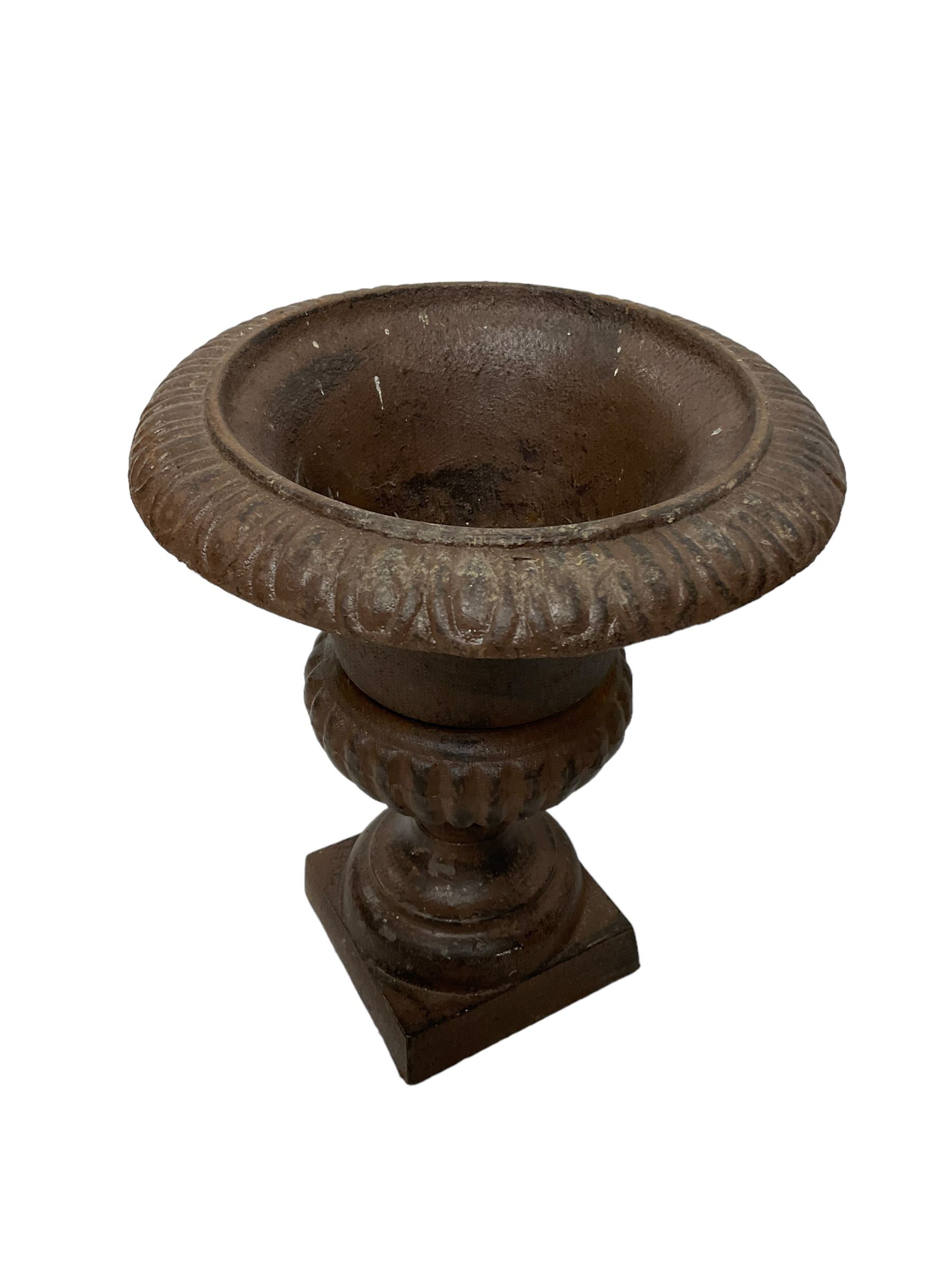 Two pairs of cast iron Campana-shaped garden urns, egg and dart moulded rim over gadrooned underbelly, on circular foot and square base 