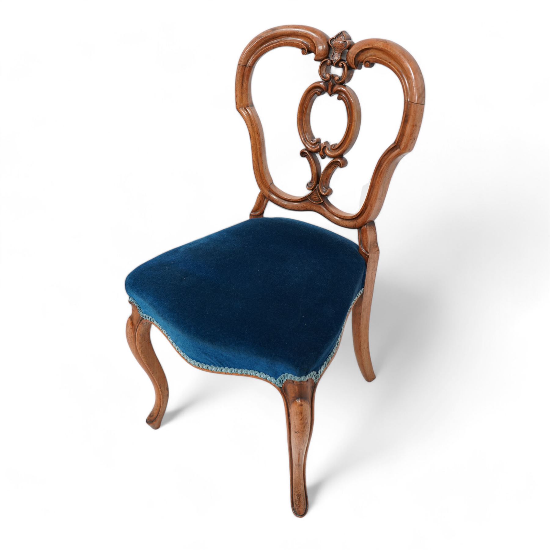 Set of six Victorian carved walnut dining chairs, shaped cresting rail over C-scroll splat back, upholstered in blue velvet, on cabriole supports 