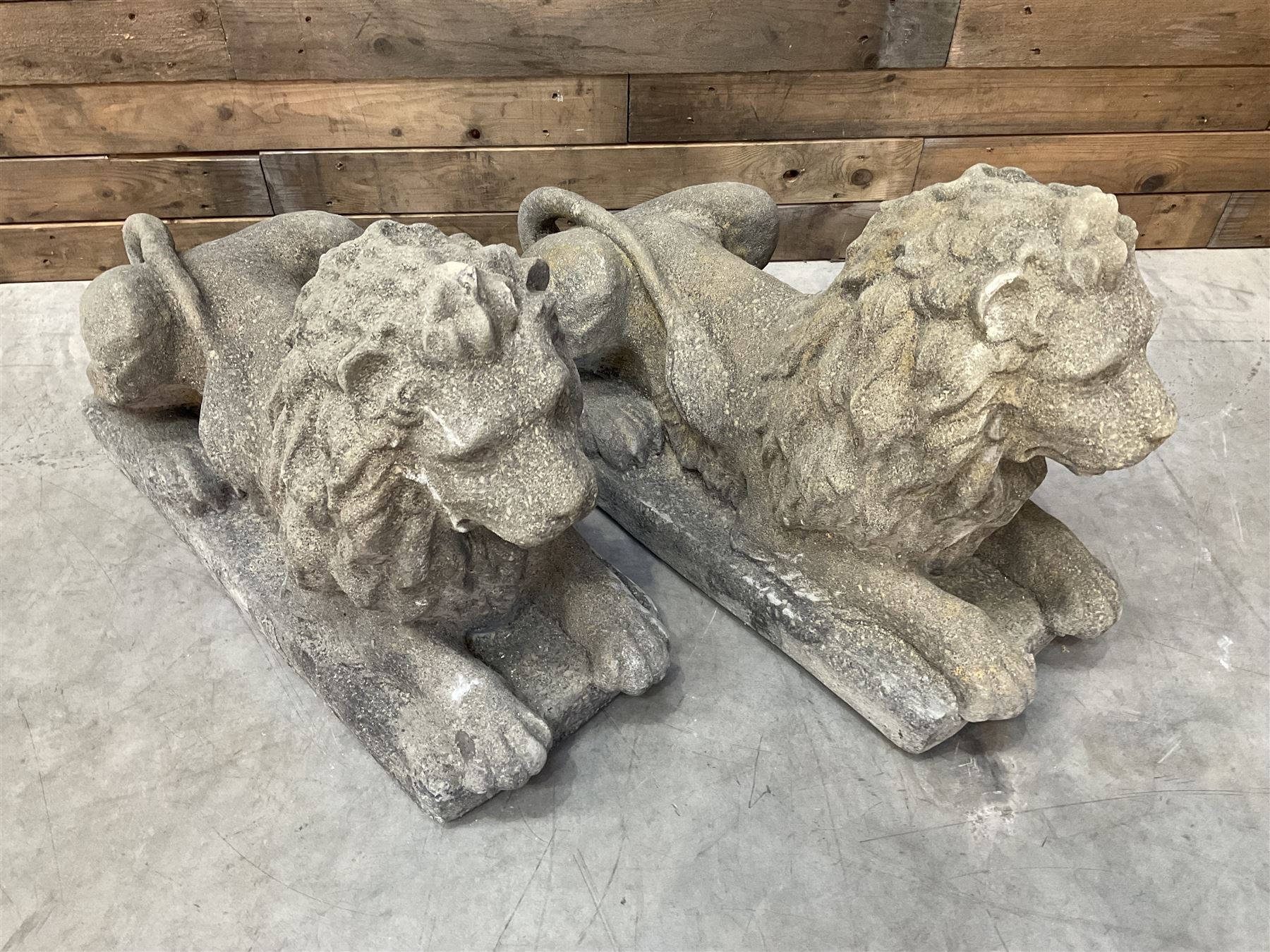 Pair of large cast stone Langport recumbent garden lions, rectangular plinth base