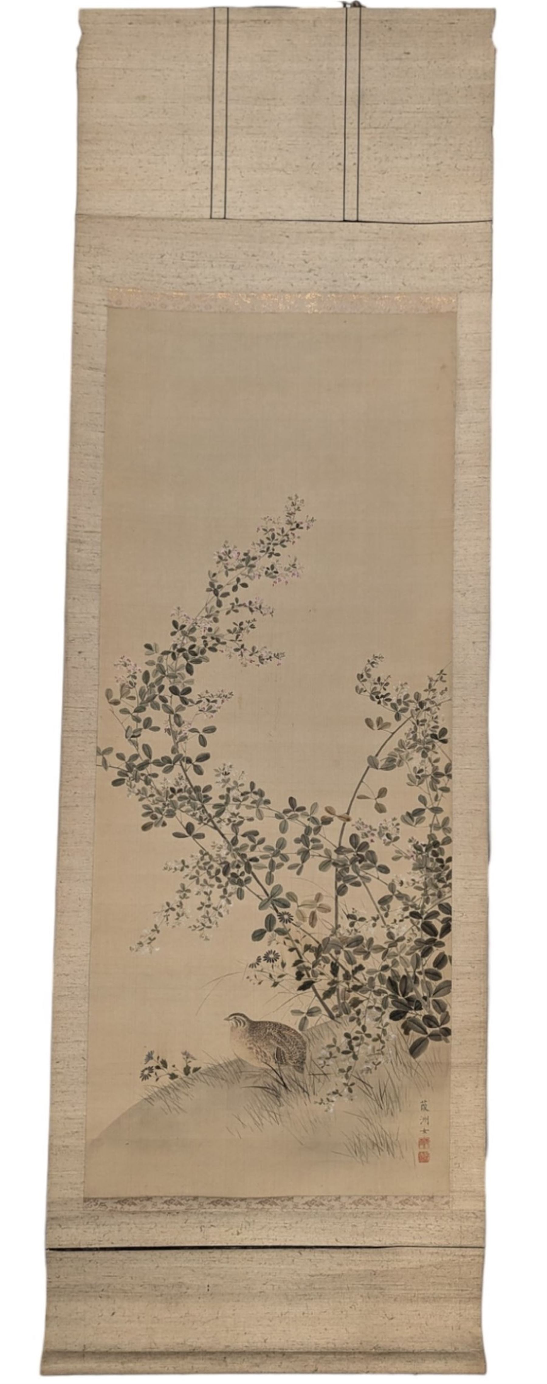 Chinese School (Early 20th century): Grouse Under Blossom Tree, watercolour on silk backed onto scroll signed with artists seal 130cm x 52cm