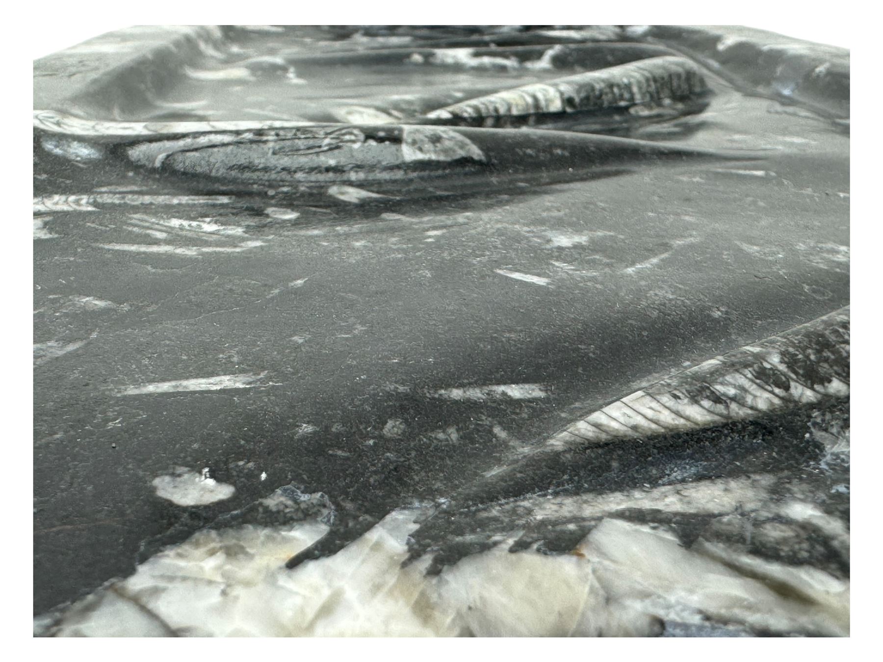 Marble hall table with orthoceras and goniatite inclusions, the rectangular top upon two rectangular stepped plinths, H78cm, L135cm, D77cm