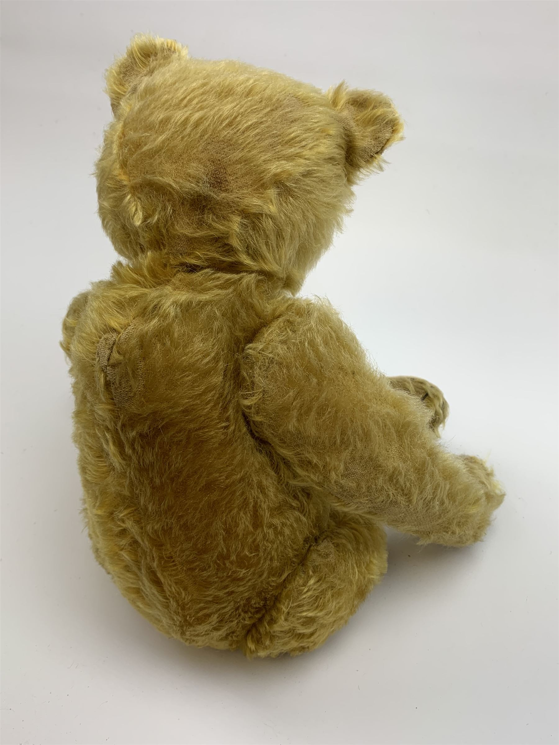 Early 20th century German teddy bear c1920, probably Steiff or Bing, with wood wool filled humped back golden mohair body, swivel jointed head with glass eyes and brown vertically stitched nose and mouth, jointed limbs with elongated arms and felt paw pads with black stitched claws H18