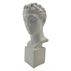 Large plaster classical bust, on integral square plinth, H61cm 