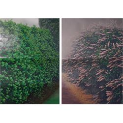 Ivor Abrahams (British 1935-2015): 'Hedges I & II', pair screenprint signed dated '77 and ...