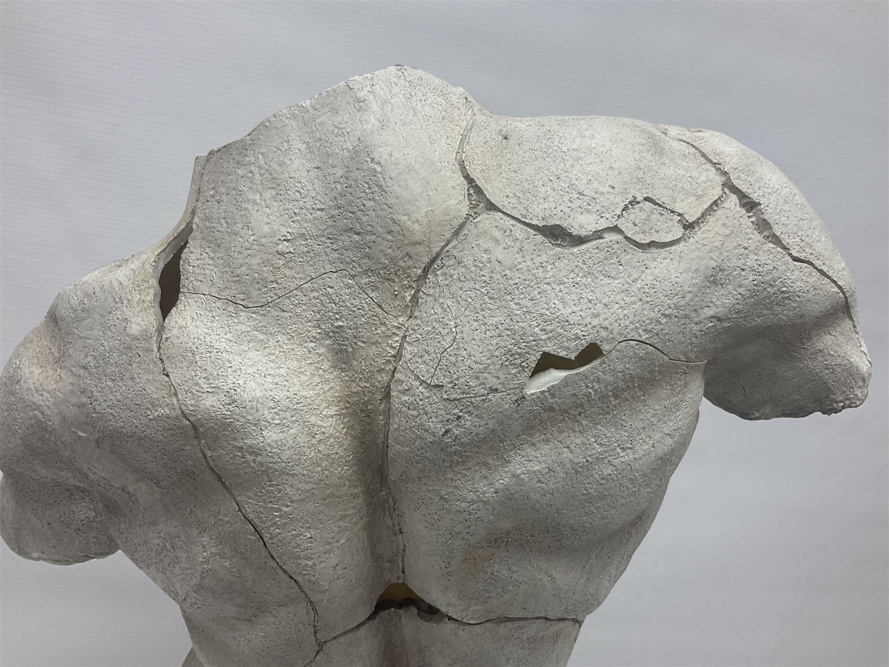 Composite sculpture of a Classical male torso on a stand, H65cm