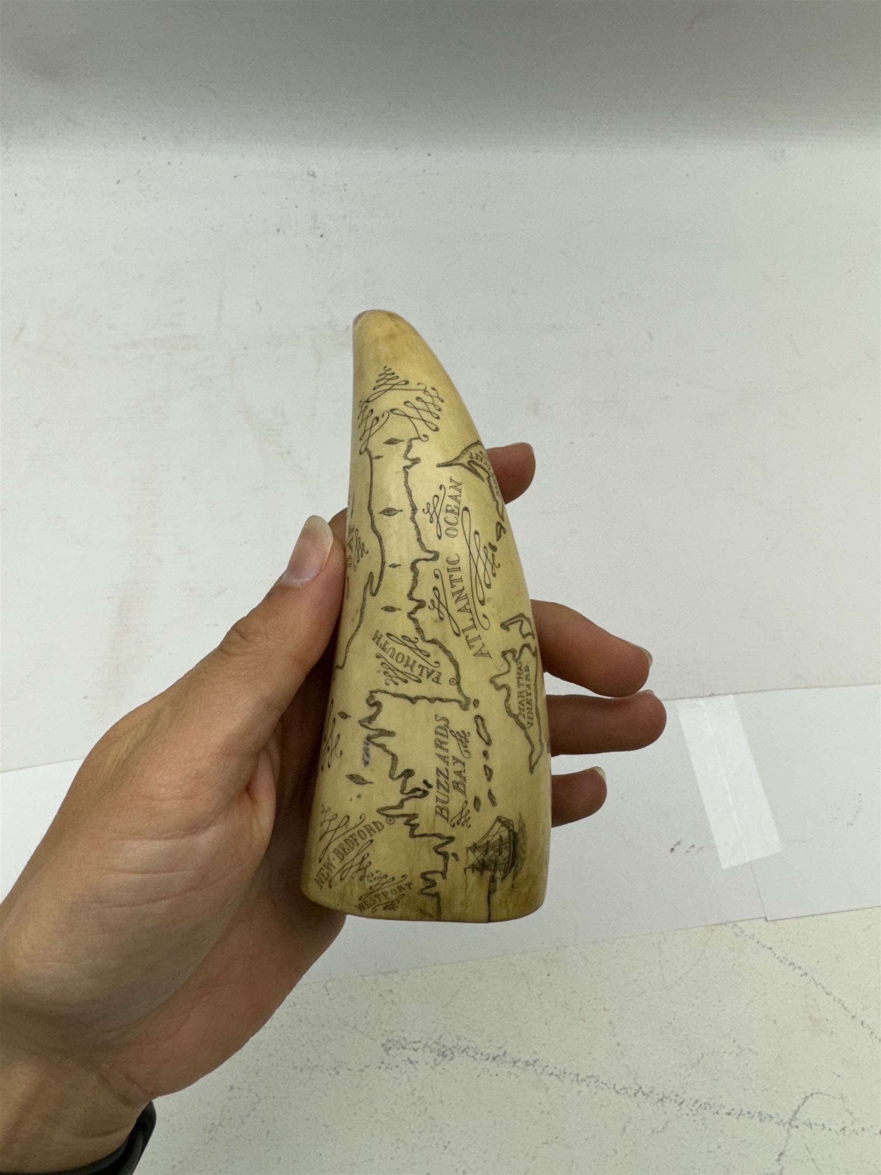 19th century scrimshaw whale tooth, inscribed Cape Cod Bay with a map of American Whaling Ports, H13cm