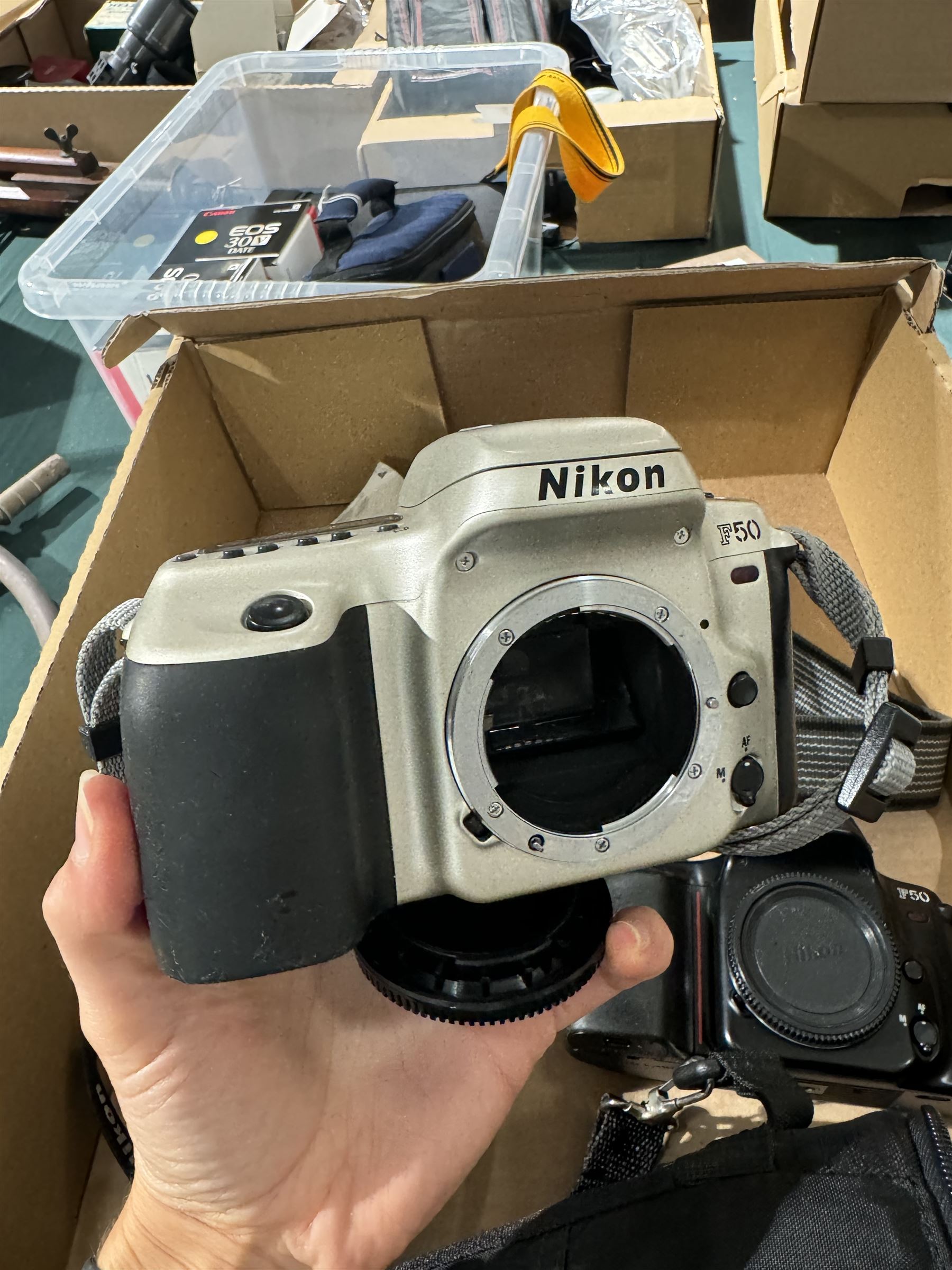 Collection of Nikon cameras, to include two F50 examples serial nos. 2966359 & 2243577, two F55 examples serial nos. 2608864 & 2024822, one with a AF Nikkor 28-80mm 1:3.3-5.6 G lens serial no. 3506212, F65 serial no. 2568057 and a F70 serial no. 2643064