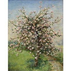 Alix Jennings (British 1884-1980): The Blossom Tree, oil on board signed 42cm x 33cm