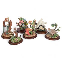 Six Border Fine Arts Fairies figures, to include Autumn Reds B0779, Peach and harmony B035...