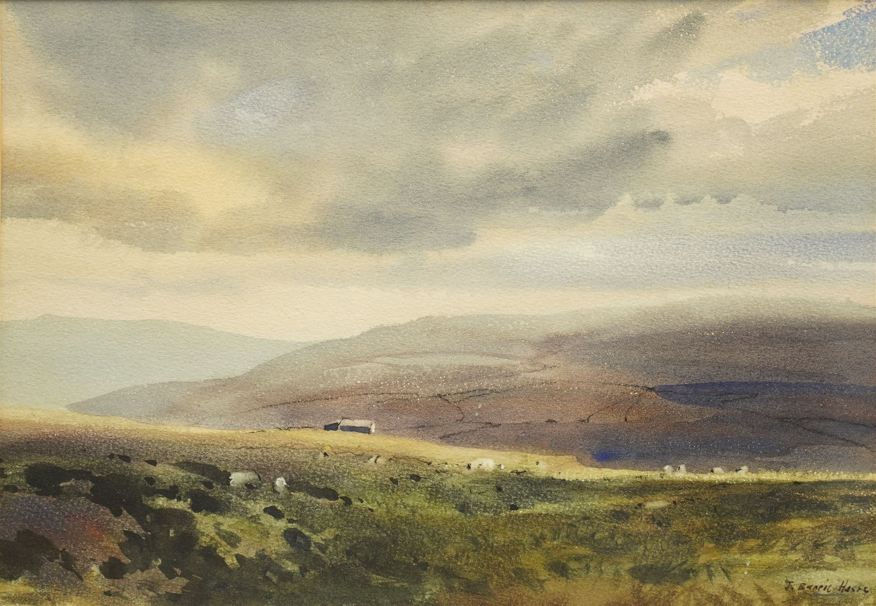 John Barrie Haste (British 1931-2011): 'Blubberhouses Moor' Landscape with Grazing Sheep, watercolour signed, inscribed verso 23cm x 32cm