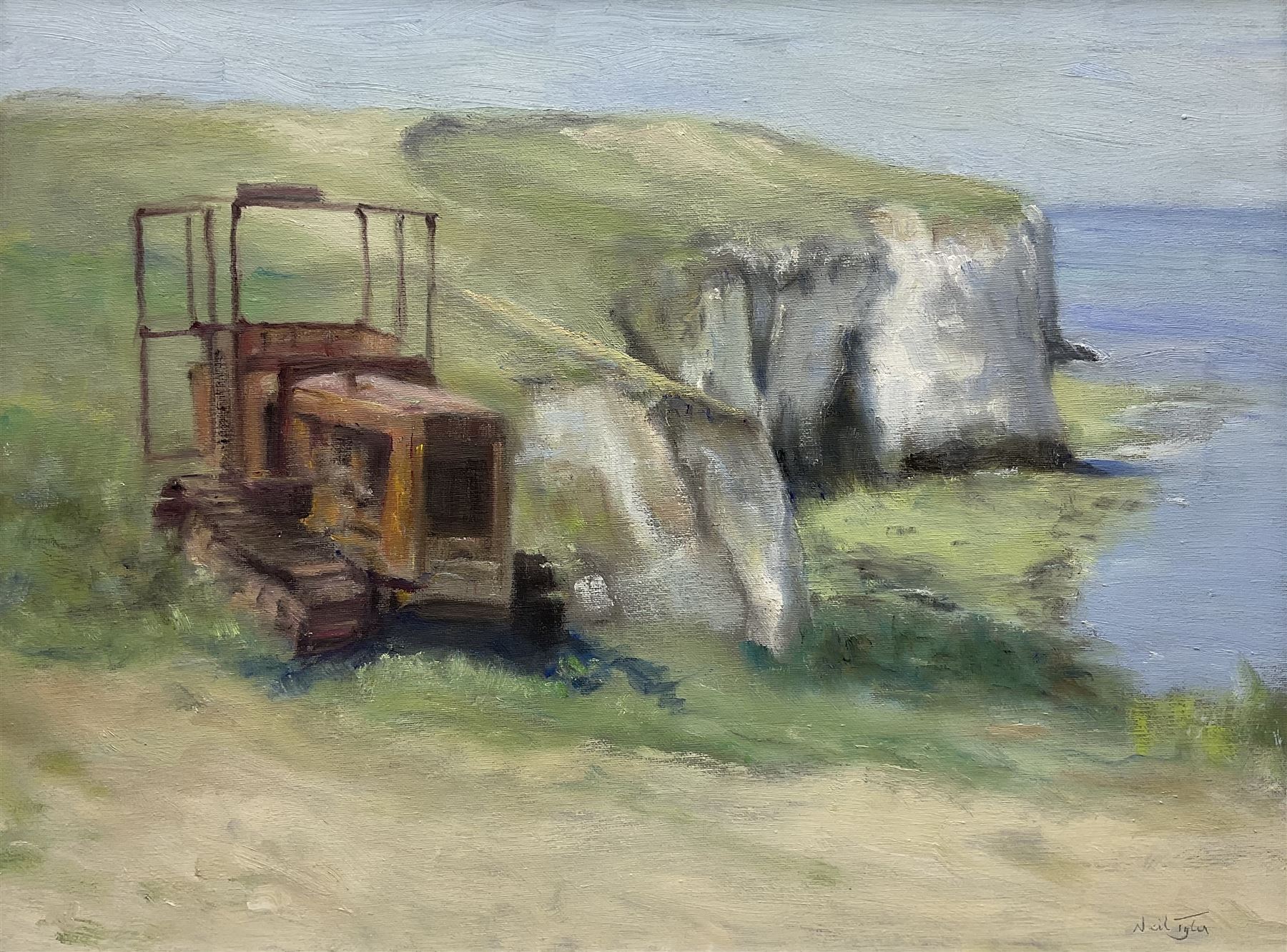 Neil Tyler (British 1945-): 'A Wreck at Flamborough Head', oil on canvas signed, titled on label verso 45cm x 60cm