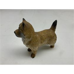 Five Beswick figures, comprising Wooly Shetland no 1033, Wooly Shetland Foal no.1034, Cairn Terrier no.2112, large Fox no. 1016 and standing fox no. 1440