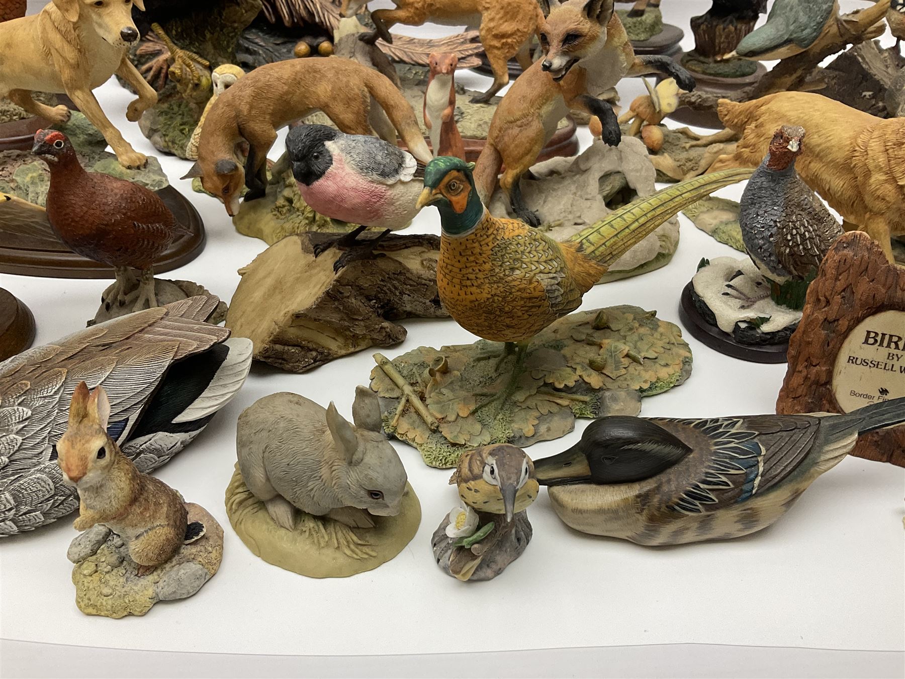 British wildlife, dogs and other animal figures, to include examples by Border Fine Arts, Teviotdale and David Hughes, etc