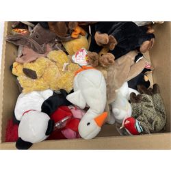 Fifty Ty Beanie babies, including Stinky, Lips, Ants, Zero, Spunky etc